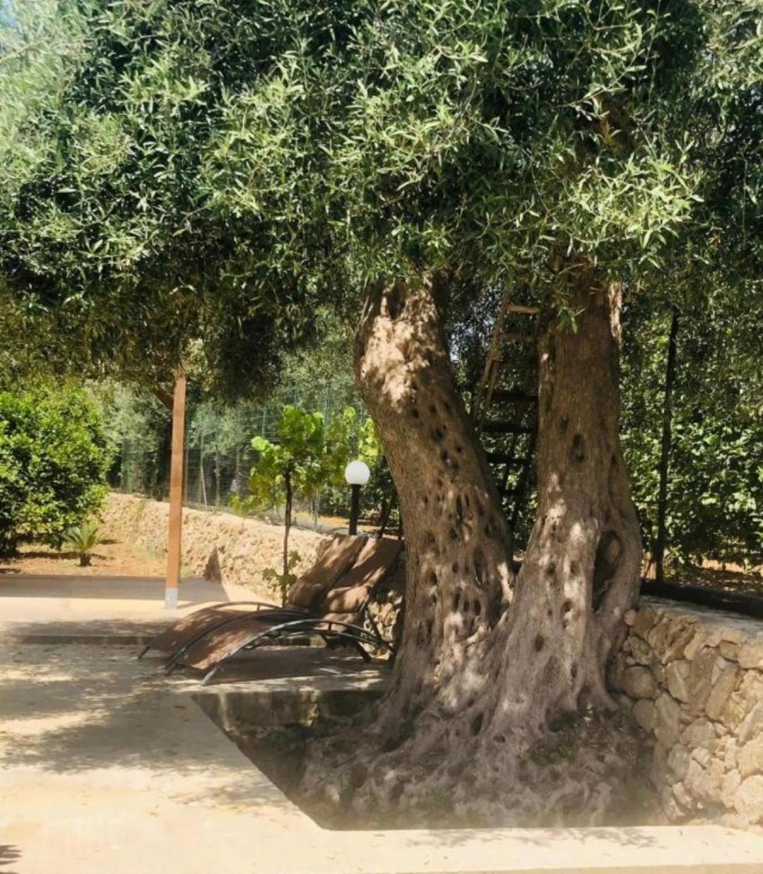 Sicilian Garden Apartment อาโวลา ภายนอก รูปภาพ