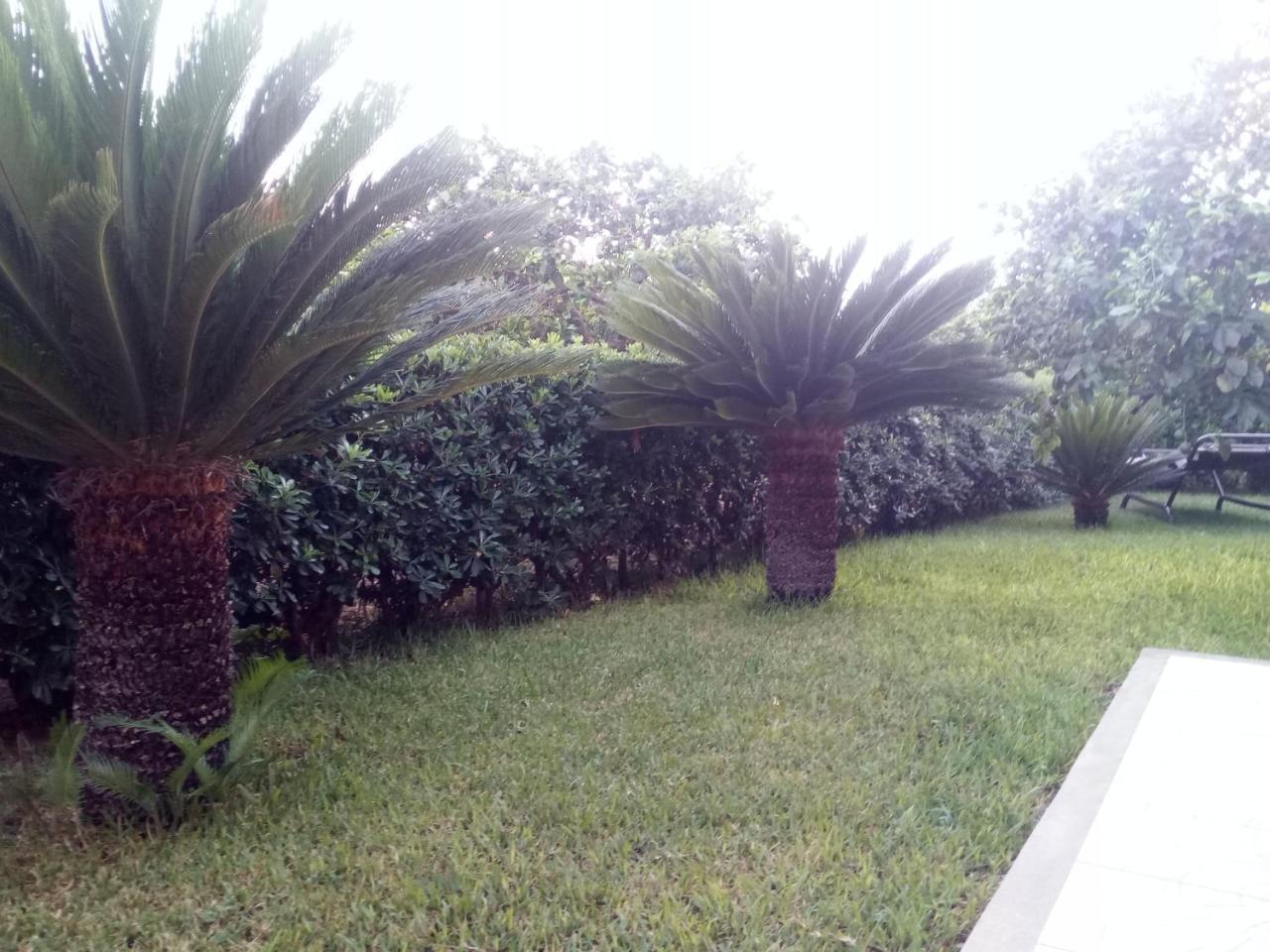 Sicilian Garden Apartment อาโวลา ภายนอก รูปภาพ